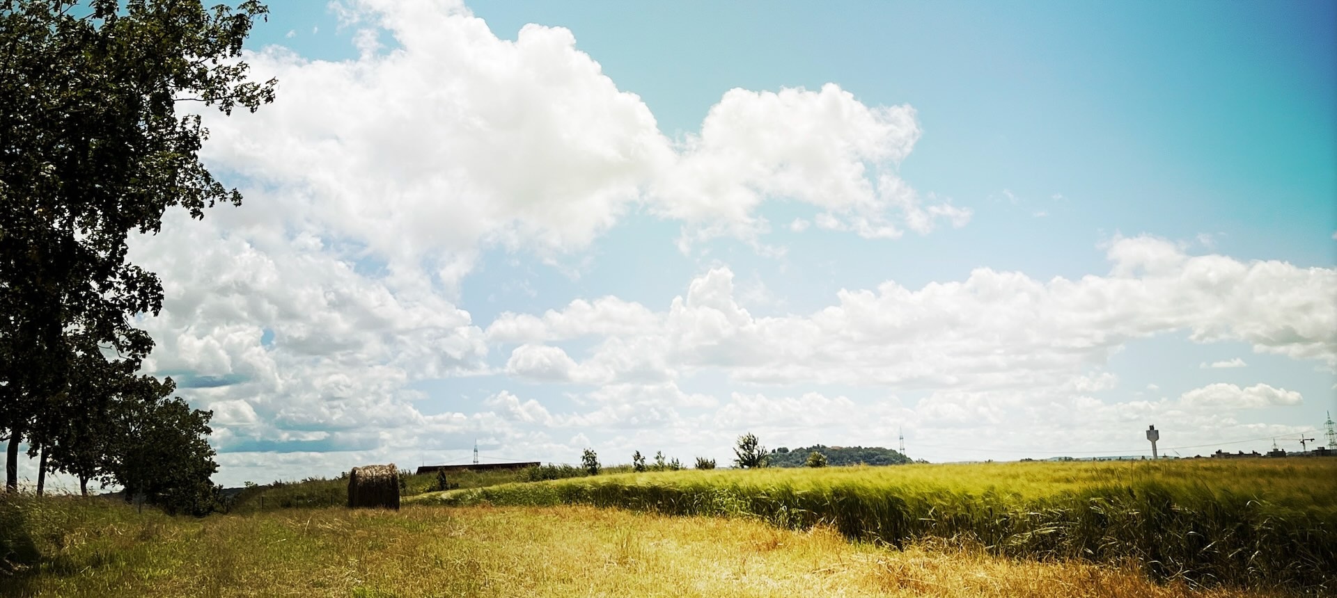 picture of a sunny landscape